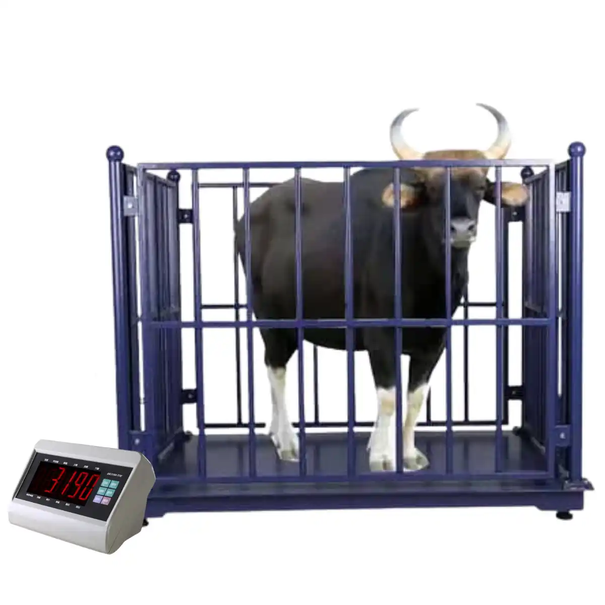 animal weighing scales machines picture of best animal weighing scales machines